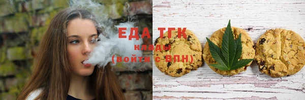 гашик Горнозаводск
