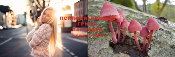Альфа ПВП Горно-Алтайск