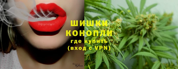 гашик Горнозаводск
