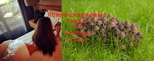 гашик Горнозаводск